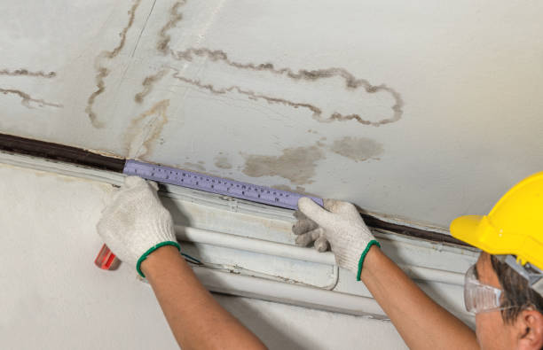 Reliable Basement Water Removal contractor in Longview, WA by Water Damage Irwin